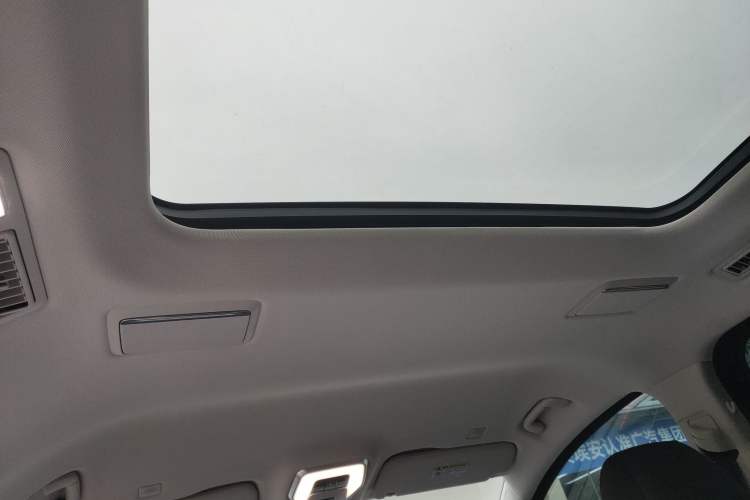 Used Hongqi HQ9 2024 2.0T Luxury Edition Headliner