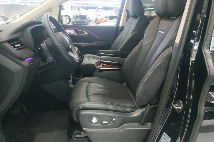Used Hongqi HQ9 2024 2.0T Luxury Edition Left Front Seat