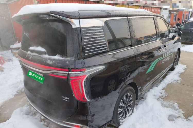Used Hongqi HQ9 2024 2.0T Luxury Edition Rear Right 45 Deg