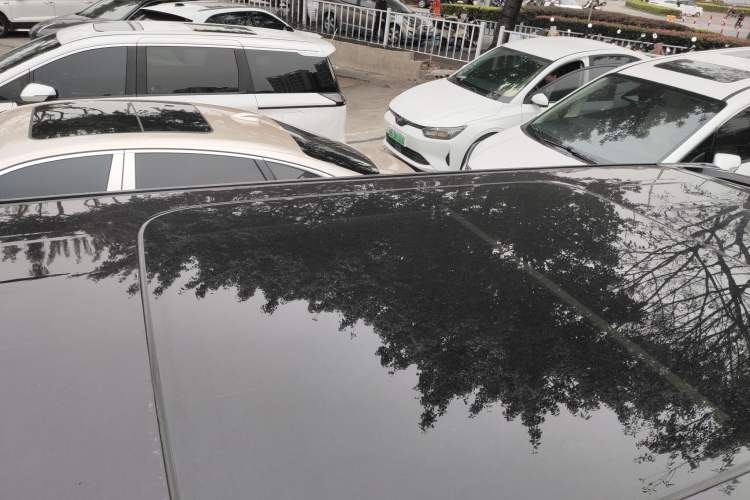 Used Hongqi HQ9 2024 2.0T Luxury Edition Roof