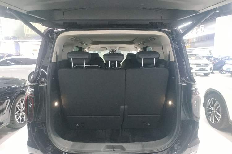 Used Hongqi HQ9 2024 2.0T Luxury Edition Trunk