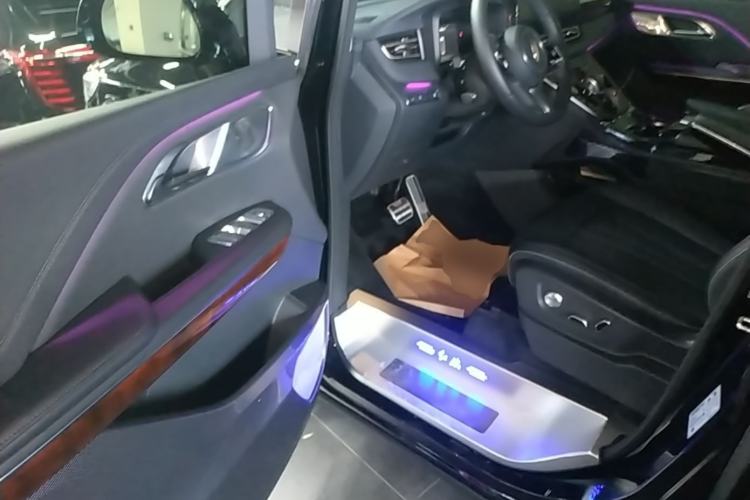 Used Hongqi HQ9 PHEV 2024 2.0T Four-Wheel Drive Luxury Edition Driver Seat