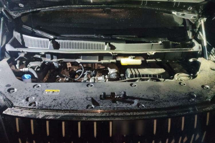 Used Hongqi HQ9 PHEV 2024 2.0T Four-Wheel Drive Business Edition Engine Bay