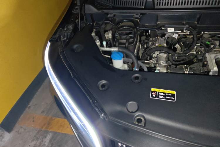 Used Hongqi HQ9 PHEV 2024 2.0T Four-Wheel Drive Business Edition Engine Bay Right