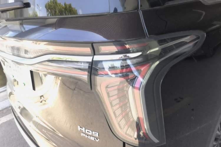 Used Hongqi HQ9 PHEV 2024 2.0T Four-Wheel Drive Luxury Edition Exterior 3