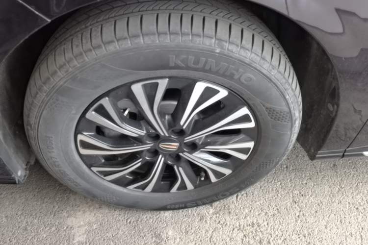 Used Hongqi HQ9 PHEV 2024 2.0T Four-Wheel Drive Luxury Edition Exterior 4