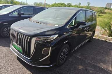 Used Hongqi HQ9 PHEV 2024 2.0T Four-Wheel Drive Business Edition