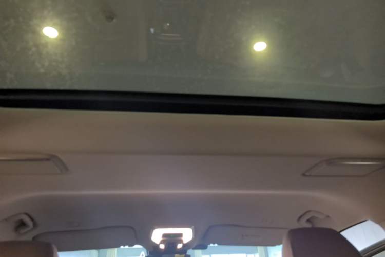 Used Hongqi HQ9 PHEV 2024 2.0T Four-Wheel Drive Flagship Edition Headliner