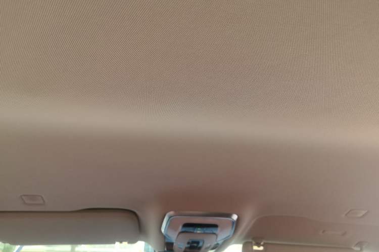 Used Hongqi HQ9 PHEV 2024 2.0T Four-Wheel Drive Luxury Edition Headliner