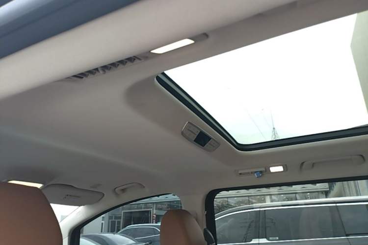 Used Hongqi HQ9 PHEV 2024 2.0T Four-Wheel Drive Business Edition Headliner