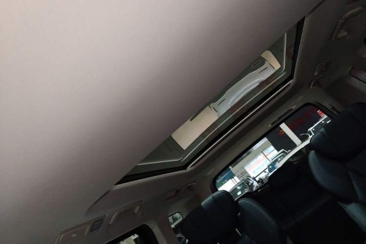 Used Hongqi HQ9 PHEV 2024 2.0T Four-Wheel Drive Business Edition Headliner