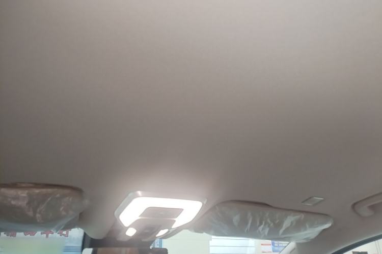 Used Hongqi HQ9 PHEV 2024 2.0T Four-Wheel Drive Business Edition Headliner