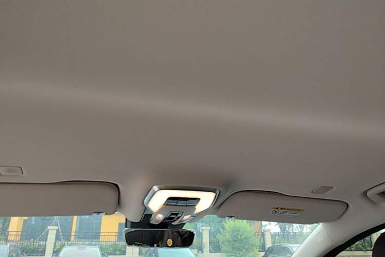 Used Hongqi HQ9 PHEV 2024 2.0T Four-Wheel Drive Business Edition Headliner