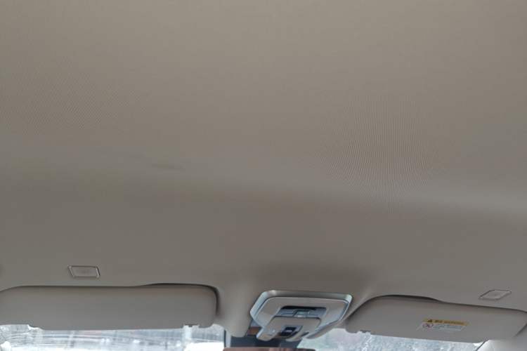 Used Hongqi HQ9 PHEV 2024 2.0T Four-Wheel Drive Business Edition Headliner