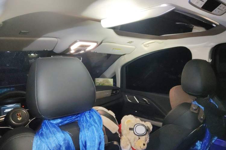 Used Hongqi HQ9 PHEV 2024 2.0T Four-Wheel Drive Business Edition Headliner