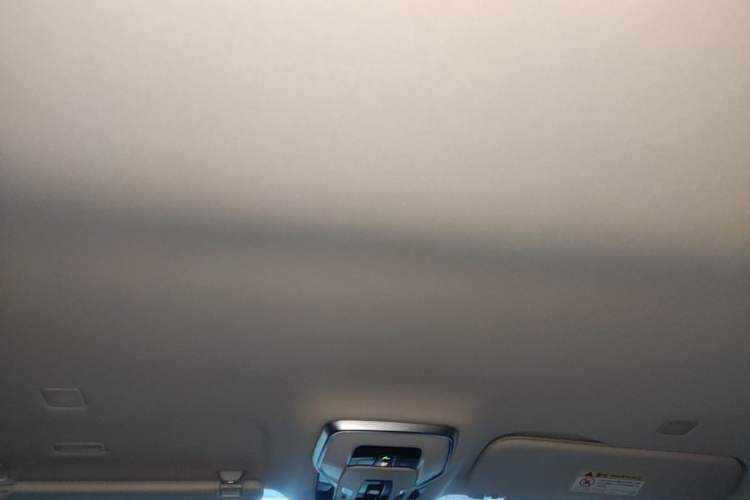 Used Hongqi HQ9 PHEV 2024 2.0T Four-Wheel Drive Luxury Edition Headliner