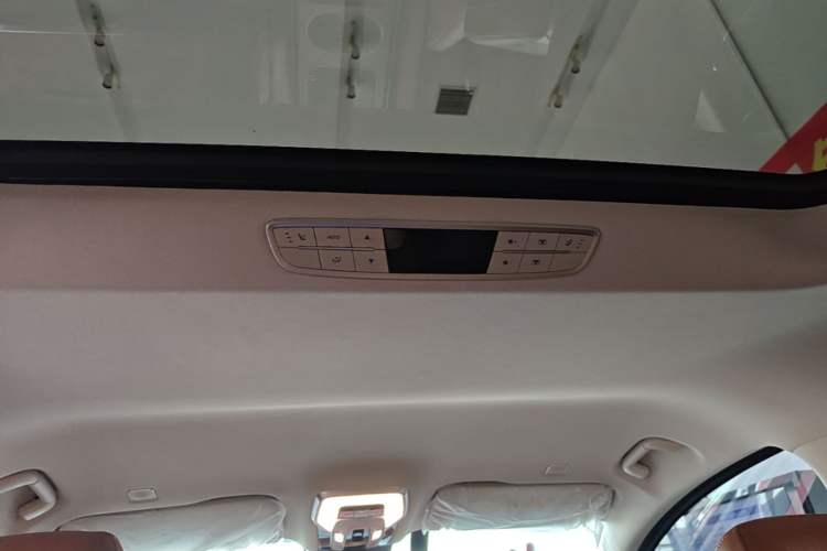 Used Hongqi HQ9 PHEV 2024 2.0T Four-Wheel Drive Business Edition Headliner