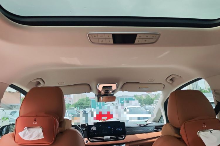 Used Hongqi HQ9 PHEV 2024 2.0T Four-Wheel Drive Business Edition Headliner