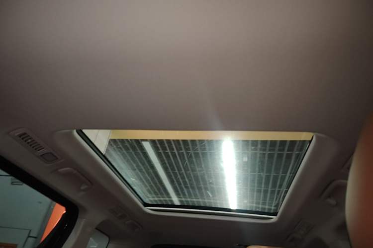 Used Hongqi HQ9 PHEV 2024 2.0T Four-Wheel Drive Business Edition Headliner