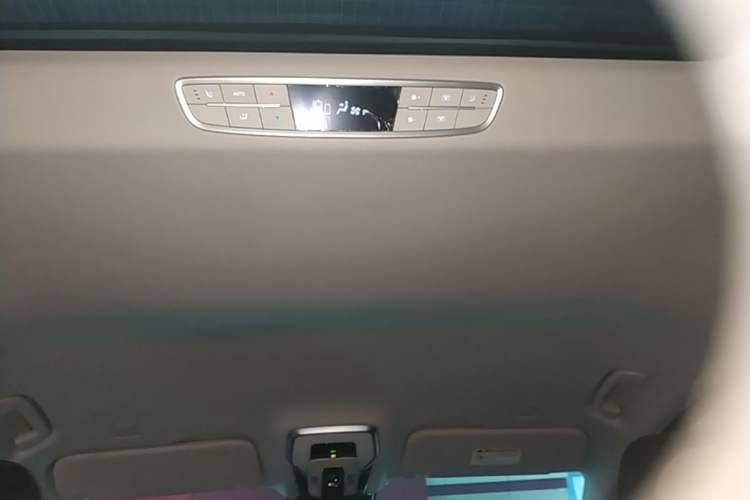 Used Hongqi HQ9 PHEV 2024 2.0T Four-Wheel Drive Business Edition Headliner