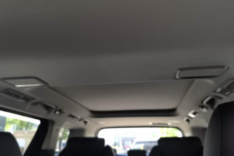 Used Hongqi HQ9 PHEV 2024 2.0T Four-Wheel Drive Luxury Edition Headliner