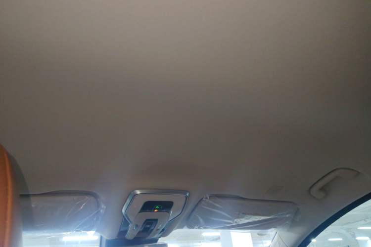Used Hongqi HQ9 PHEV 2024 2.0T Four-Wheel Drive Luxury Edition Headliner