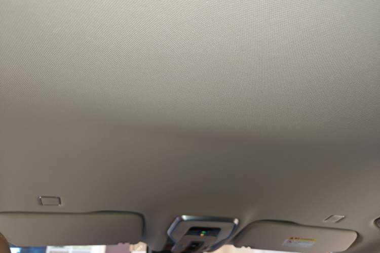 Used Hongqi HQ9 PHEV 2024 2.0T Four-Wheel Drive Business Edition Headliner