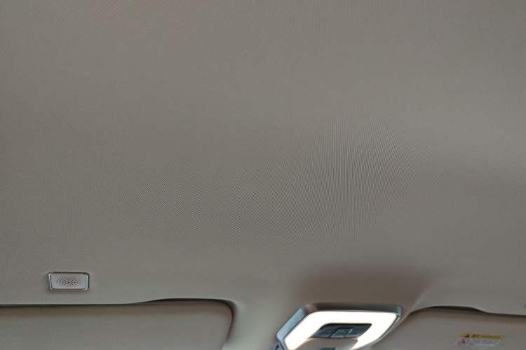 Used Hongqi HQ9 PHEV 2024 2.0T Four-Wheel Drive Business Edition Headliner