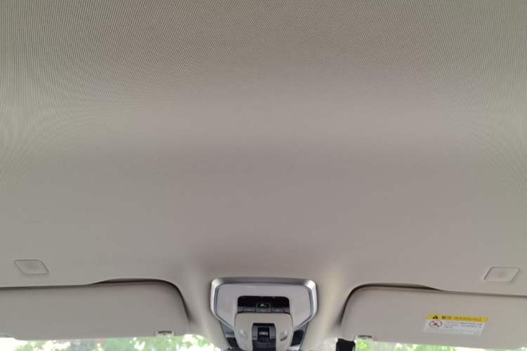 Used Hongqi HQ9 PHEV 2024 2.0T Four-Wheel Drive Luxury Edition Headliner