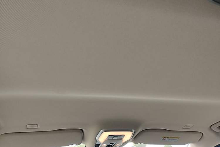 Used Hongqi HQ9 PHEV 2024 2.0T Four-Wheel Drive Business Edition Headliner