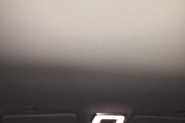 Used Hongqi HQ9 PHEV 2024 2.0T Four-Wheel Drive Business Edition Headliner