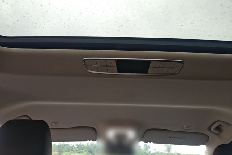Used Hongqi HQ9 PHEV 2024 2.0T Four-Wheel Drive Business Edition Headliner