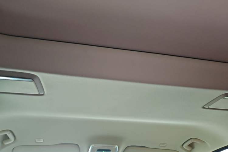 Used Hongqi HQ9 PHEV 2024 2.0T Four-Wheel Drive Luxury Edition Headliner