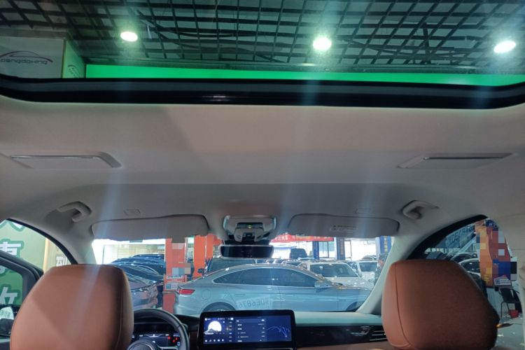 Used Hongqi HQ9 PHEV 2024 2.0T Four-Wheel Drive Luxury Edition Headliner