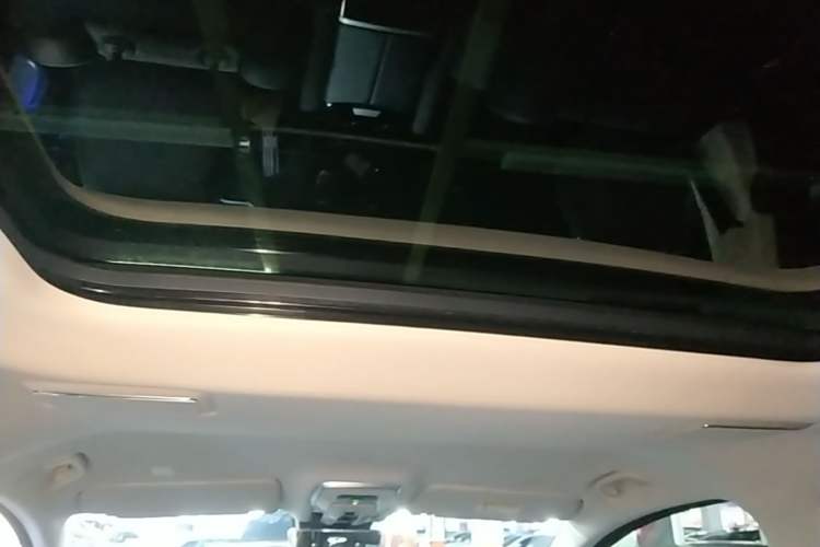 Used Hongqi HQ9 PHEV 2024 2.0T Four-Wheel Drive Luxury Edition Headliner