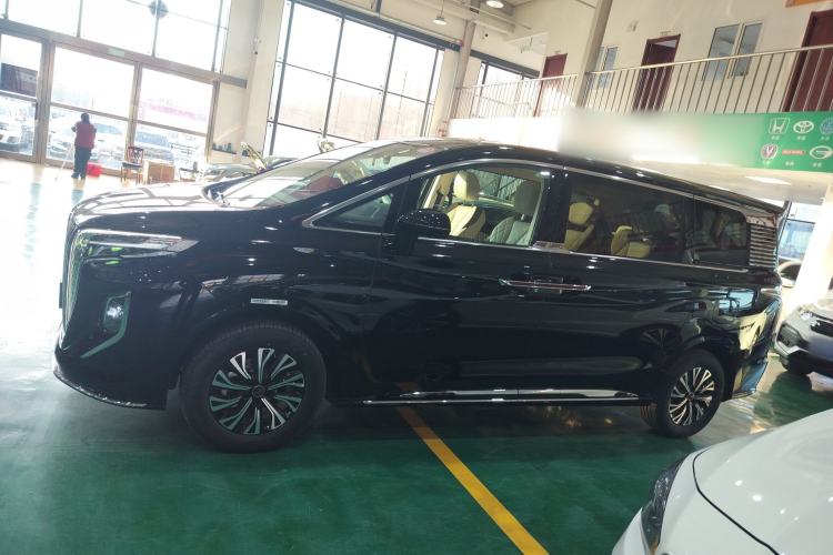 Used Hongqi HQ9 PHEV 2024 2.0T Four-Wheel Drive Business Edition Left Side