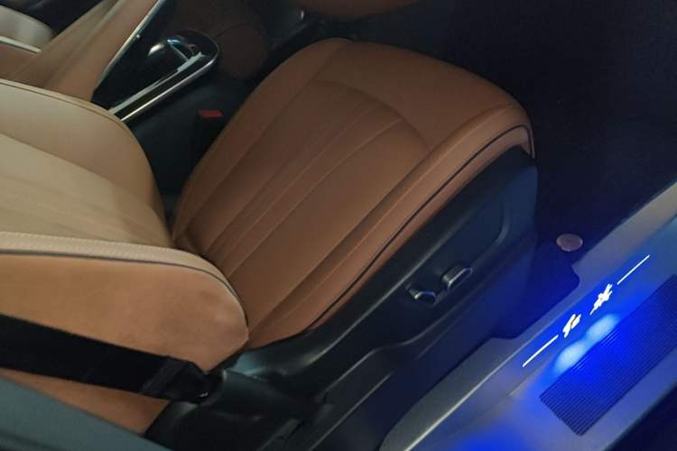 Used Hongqi HQ9 PHEV 2024 2.0T Four-Wheel Drive Luxury Edition Right Front Seat