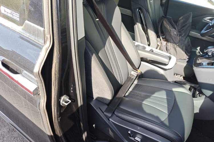 Used Hongqi HQ9 PHEV 2024 2.0T Four-Wheel Drive Business Edition Right Front Seat