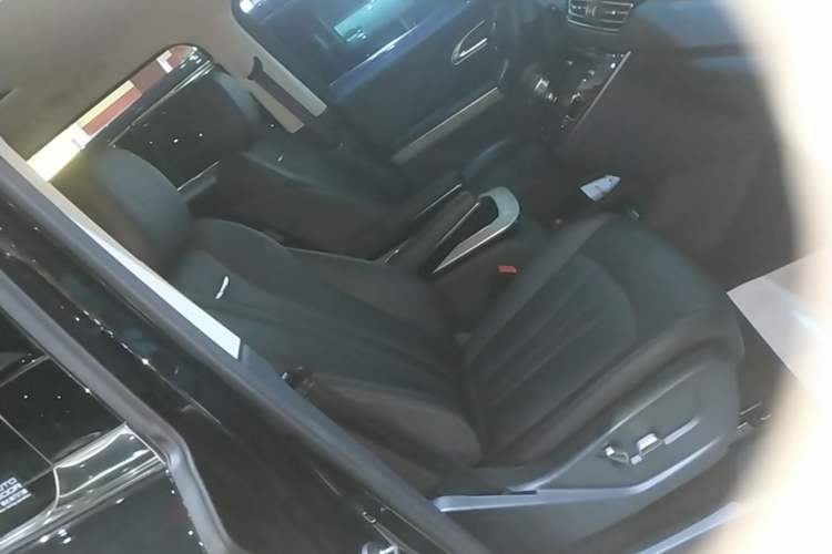 Used Hongqi HQ9 PHEV 2024 2.0T Four-Wheel Drive Business Edition Right Front Seat