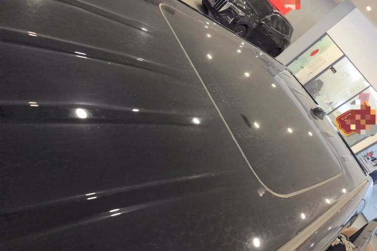 Used Hongqi HQ9 PHEV 2024 2.0T Four-Wheel Drive Flagship Edition Roof