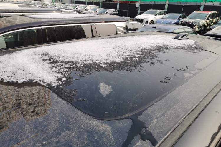 Used Hongqi HQ9 PHEV 2024 2.0T Four-Wheel Drive Business Edition Roof