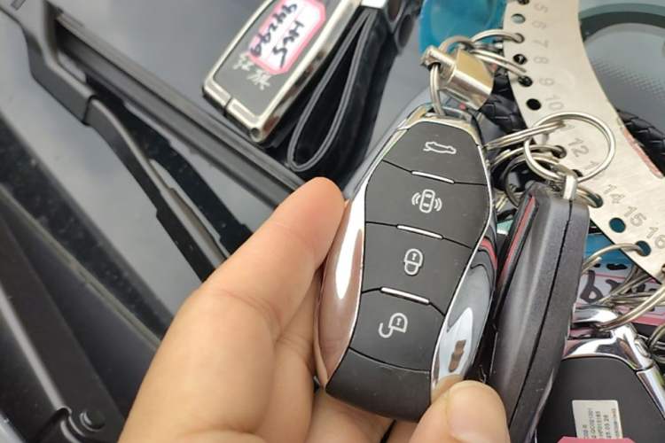 Used Hongqi HQ9 PHEV 2024 2.0T Four-Wheel Drive Business Edition Vehicle Key