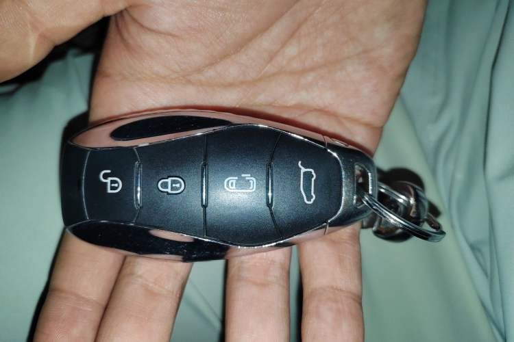 Used Hongqi HQ9 PHEV 2024 2.0T Four-Wheel Drive Luxury Edition Vehicle Key
