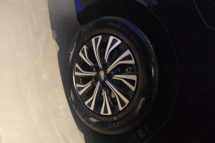 Used Hongqi HQ9 PHEV 2024 2.0T Four-Wheel Drive Luxury Edition Exterior 5