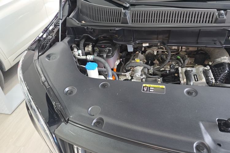 Used Hongqi HQ9 PHEV 2024 2.0T Four-Wheel Drive Luxury Edition Engine Bay Right
