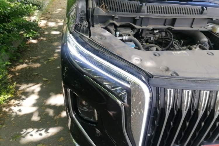 Used Hongqi HQ9 PHEV 2024 2.0T Four-Wheel Drive Business Edition Exterior 3
