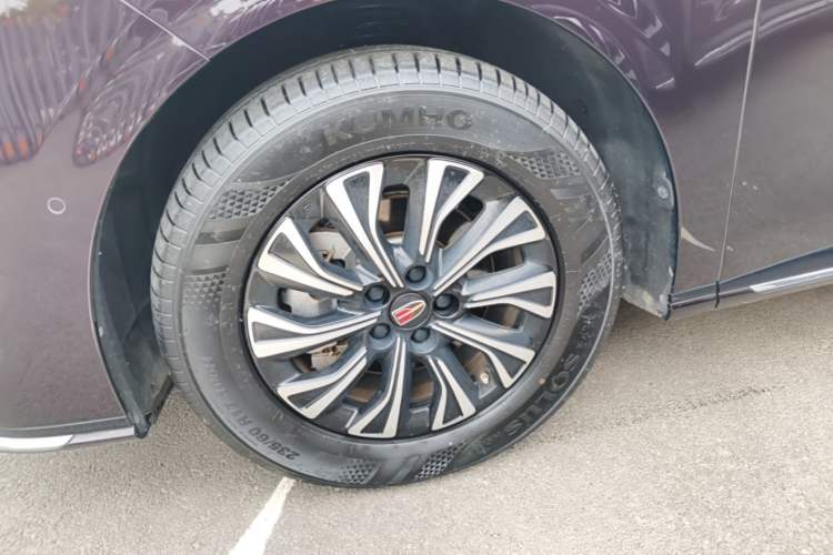 Used Hongqi HQ9 PHEV 2024 2.0T Four-Wheel Drive Luxury Edition Exterior 4
