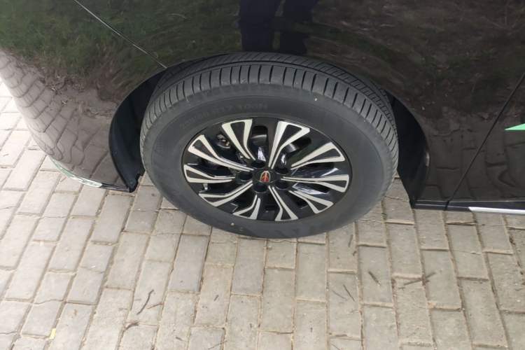 Used Hongqi HQ9 PHEV 2024 2.0T Four-Wheel Drive Luxury Edition Exterior 4