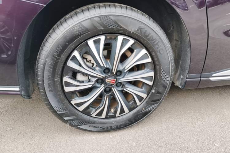 Used Hongqi HQ9 PHEV 2024 2.0T Four-Wheel Drive Luxury Edition Exterior 5