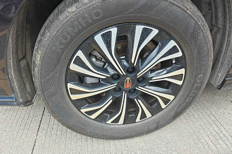 Used Hongqi HQ9 PHEV 2024 2.0T Four-Wheel Drive Luxury Edition Exterior 5